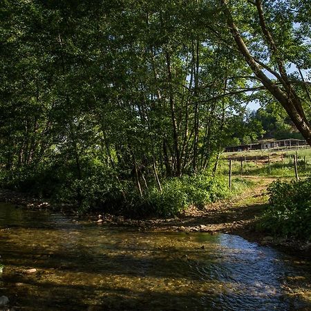 Agriturismo Borgo Serafino Mangone  المظهر الخارجي الصورة