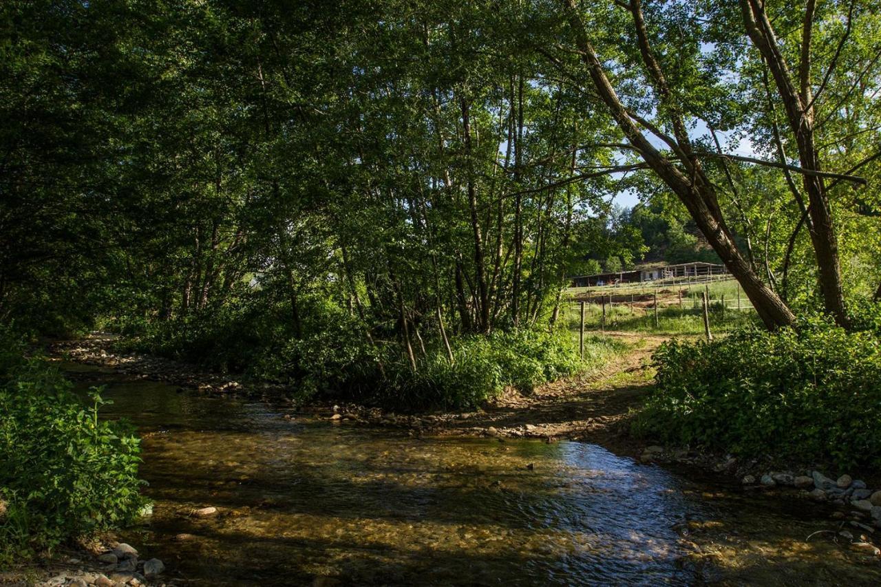 Agriturismo Borgo Serafino Mangone  المظهر الخارجي الصورة