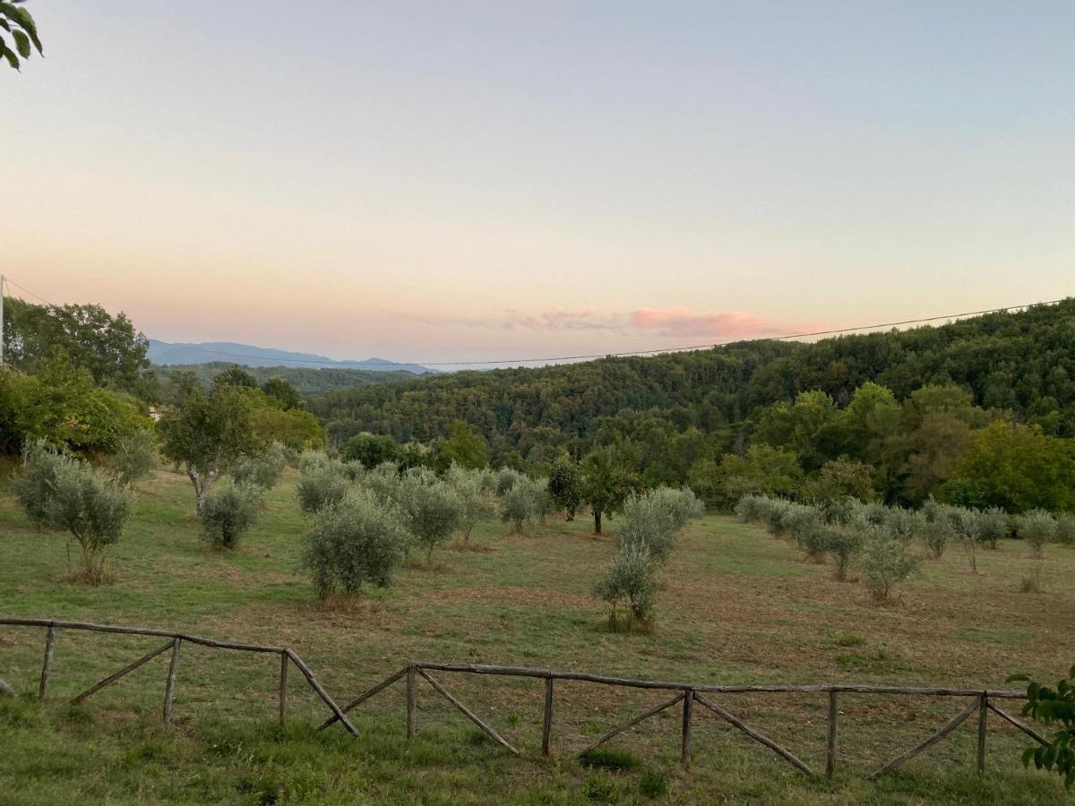 Agriturismo Borgo Serafino Mangone  المظهر الخارجي الصورة